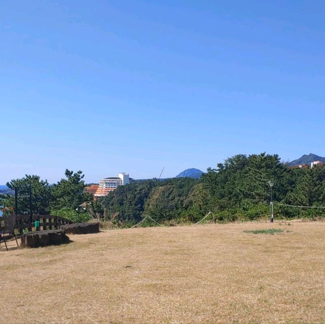 제주도의 새별오름을 올라보자!!!
