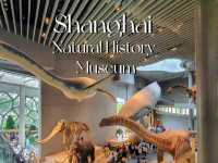 🦕🦓🦌Shanghai natural history museum