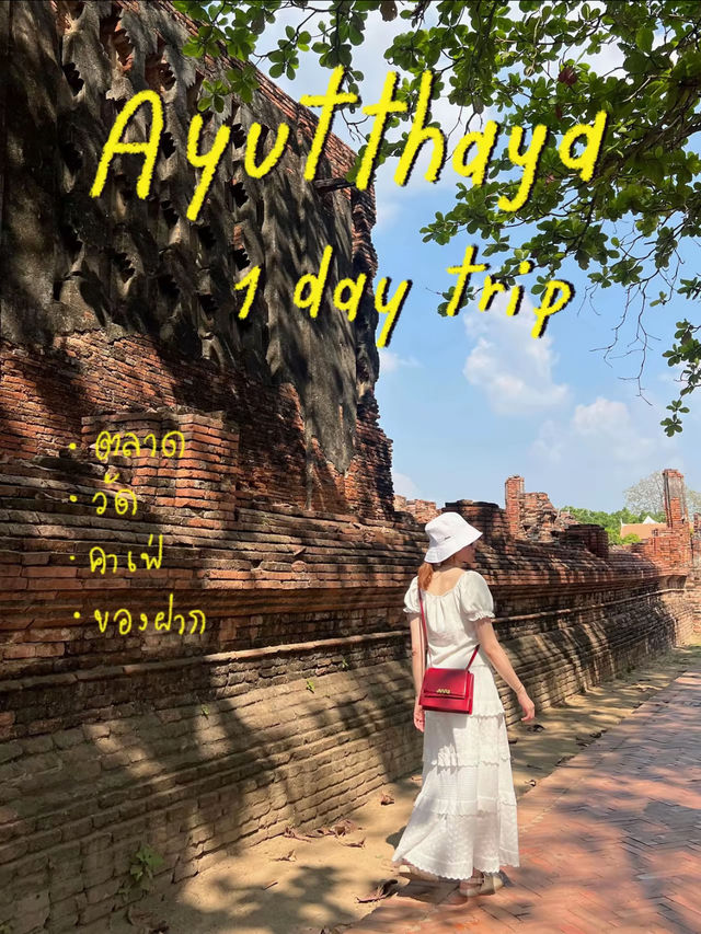 เที่ยวอยุธยา 1 วัน ครบทุกอย่าง ☀️😎