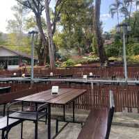 กาแล เชียงใหม่ - ร้านอาหารท่ามกลางธรรมชาติ 🌳🍃