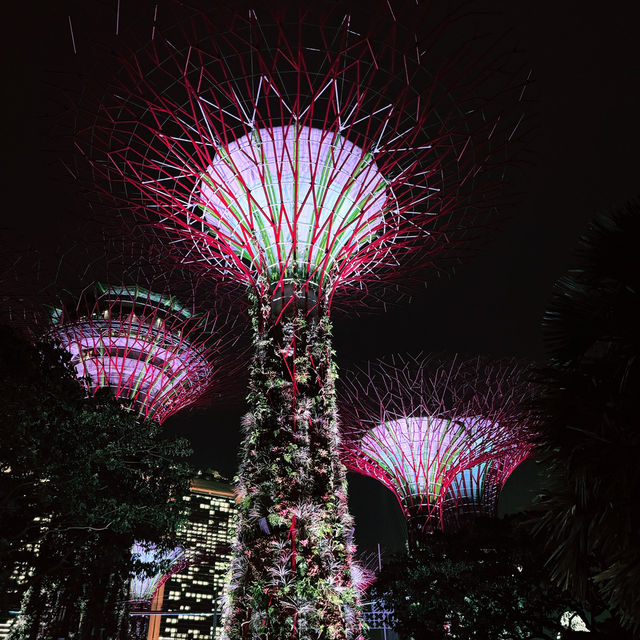 Why I choose to travel in Singapore?