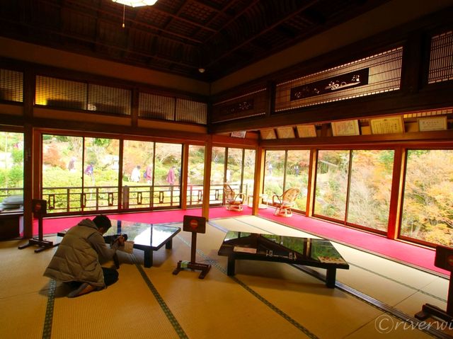 【佐賀県】息を呑む逆さ紅葉のリフレクション！環境芸術の森