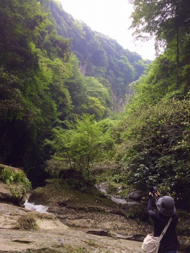 【安心院】日本の滝百選✨時を忘れる美しい滝✨