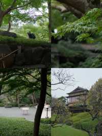 景點推薦：八芳園——東京隱藏的和式庭園美景