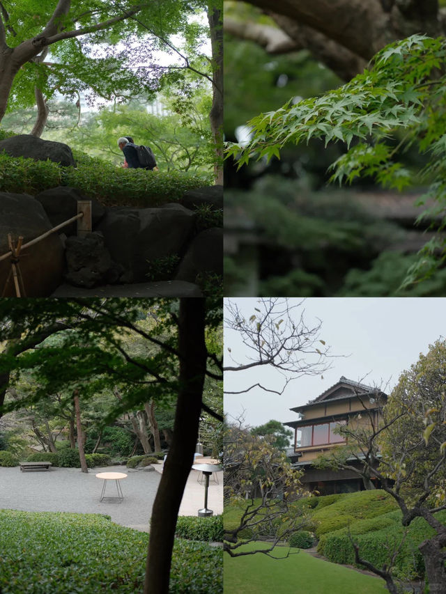 景點推薦：八芳園——東京隱藏的和式庭園美景