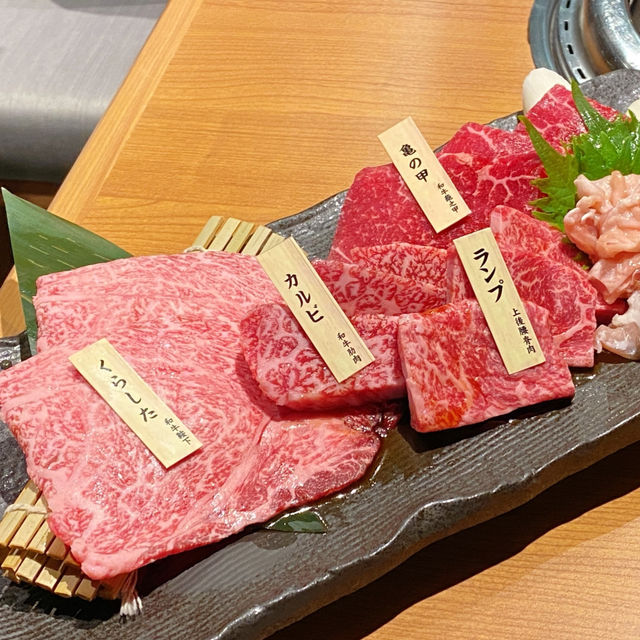 東京 銀座 炎藏燒肉 D2 Place