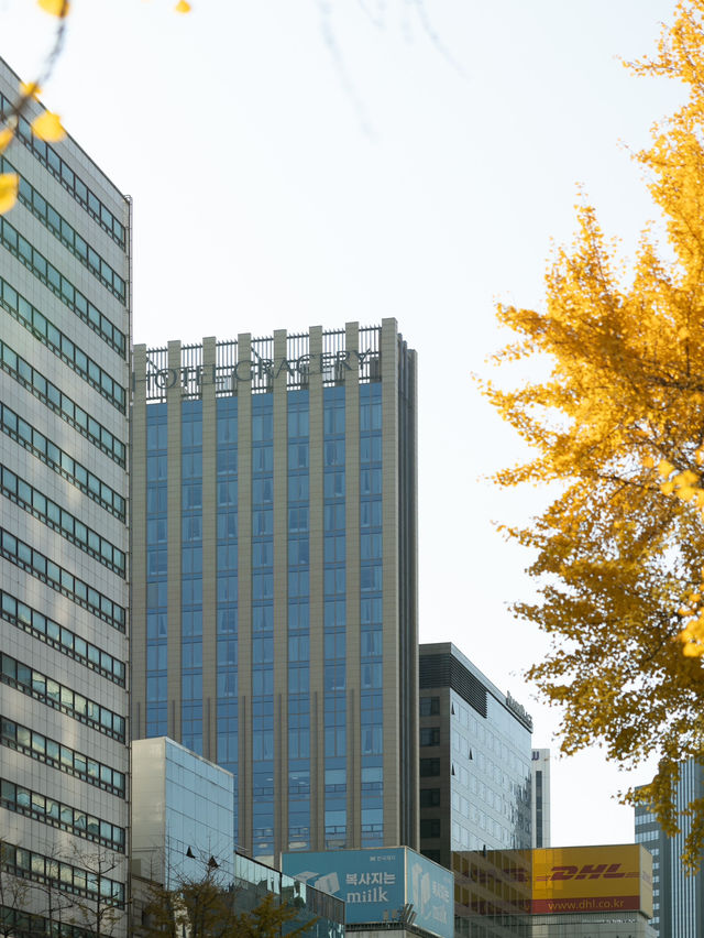 【韓国】安心の日系ホテルでソウルステイ🏨