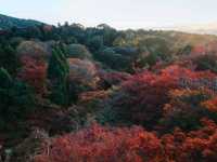 วัดคิโยมิสึเดระ (Kiyomizu-dera Temple)