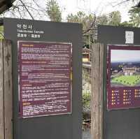 서귀포 최고의 이국적인 사찰, 약천사!