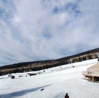 Explore the scenic winter view at Flagstaff Arizona 