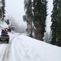 กุลมาร์ค (Gulmarg) @แคชเมียร์