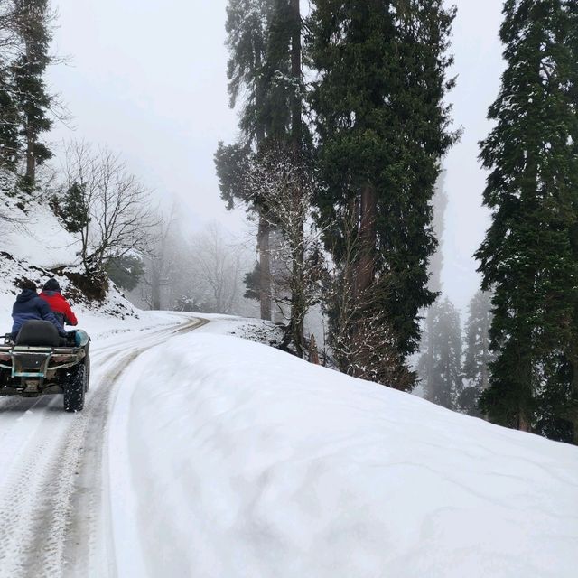 กุลมาร์ค (Gulmarg) @แคชเมียร์