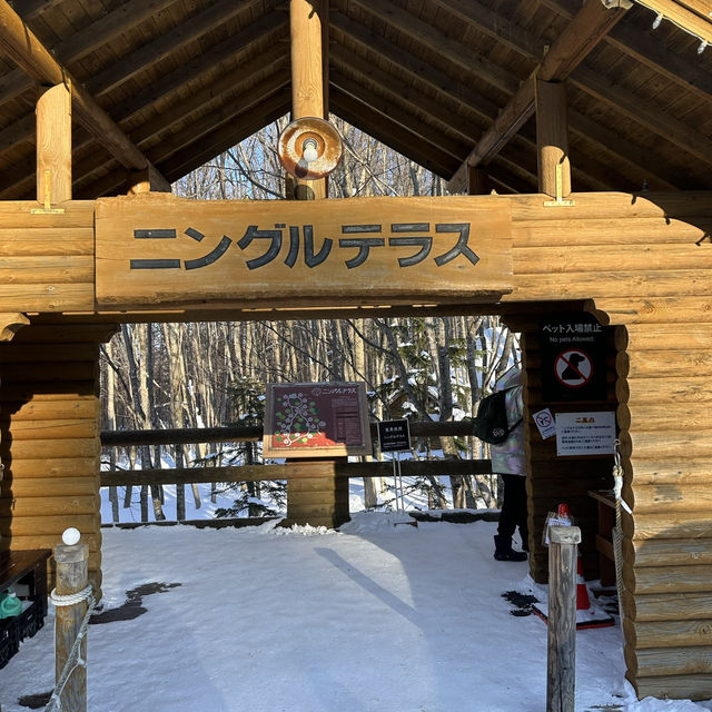 🧚‍♀️ 요정들의 겨울 왕국, 후라노 닝구르테라스 ❄️