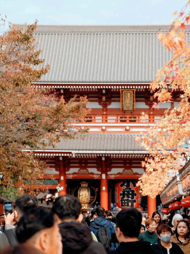 ขอพรที่ Sensoji Temple  (วัดอาซากุสะ) 