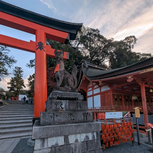 🇯🇵京都「伏見稻荷大社」輕鬆拍出無路人大片！給各位一個早起的理由！