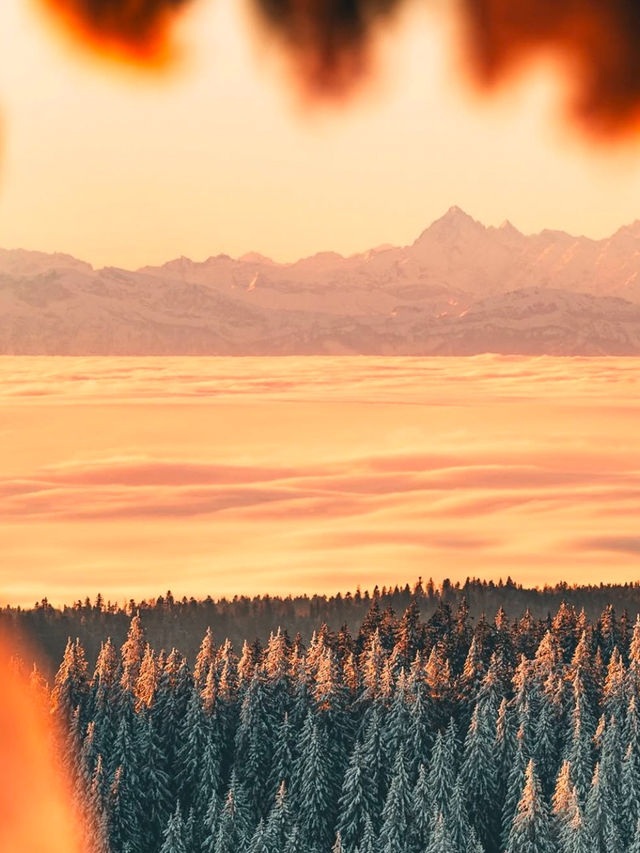 Falling in Love with the Black Forest in Winter 