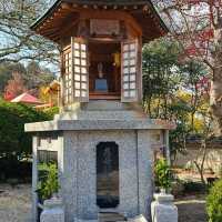 有馬溫泉秘境〔林溪寺〕的幽靜禪意