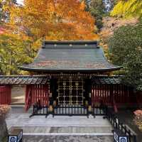 小石川大神宮🪷靜謐之境