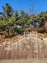 가족들과 주말 나들이하기 좋은 인천 무료박물관🌳