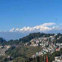 🇮🇳 印度-大吉嶺 Darjeeling Happy Valley