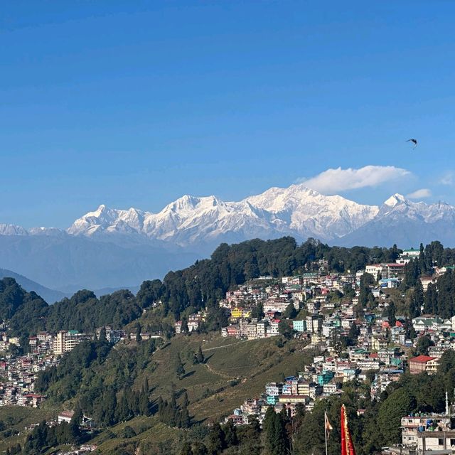 🇮🇳 印度-大吉嶺 Darjeeling Happy Valley