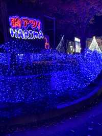 播磨町の個性的なイルミネーション2024