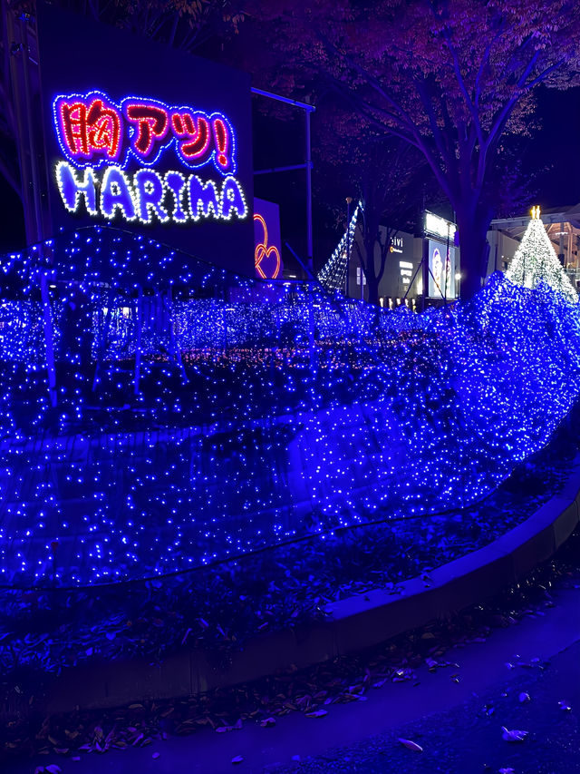 播磨町の個性的なイルミネーション2024