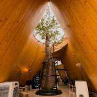 Harudot Chonburi by Nana Coffee Roasters