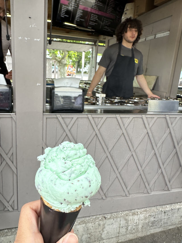 🇨🇭浸在洛桑湖畔悠閒中🚴湖畔踩單車享受謐靜