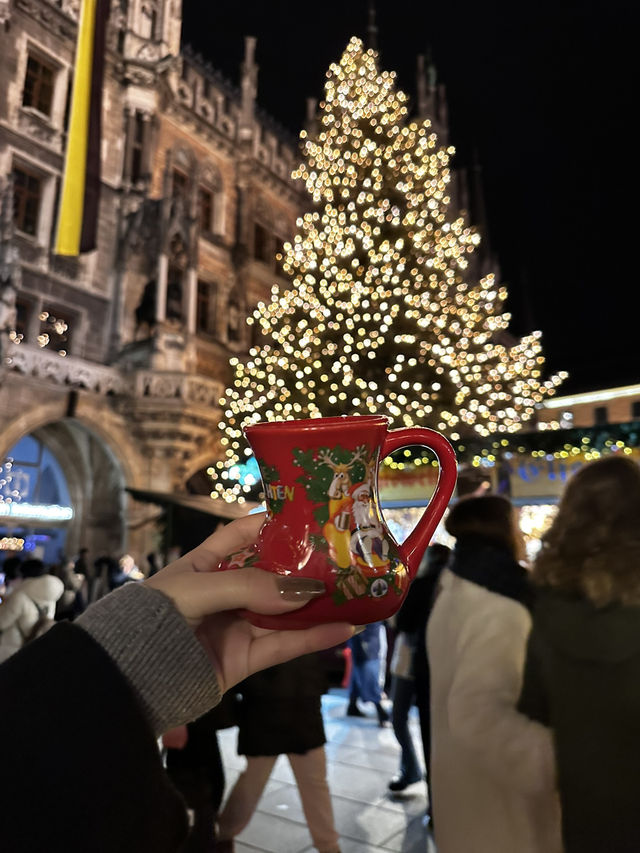 ドイツ・オーストリア🇩🇪🇦🇹クリスマスマーケット旅行🎄✨
