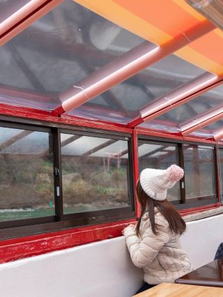 ใช้เวลาสุดหรูไปกับการล่องเรือที่แม่น้ำโมกามิในยามากาตะ