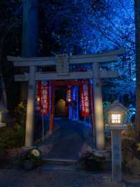 志を立て祈る神社 花手水もライトアップする滋賀県唯一の神社 12/14~1/12迄。⛩