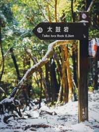 冬の白谷雲水峡❄️屋久島の神秘的な森へ