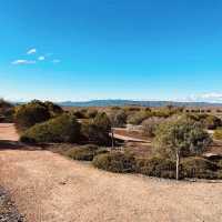 Exploring the Australian Arid Lands Botanic Garden: A Unique Desert Oasis