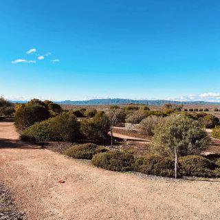 Exploring the Australian Arid Lands Botanic Garden: A Unique Desert Oasis