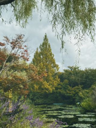 四國夢幻秘境❤️莫奈庭園❤️