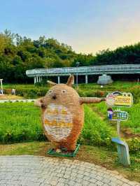 珠海木頭沖村鶴道花海：鄉村振興中的生態旅遊新亮點🌸