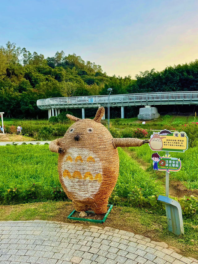 珠海木頭沖村鶴道花海：鄉村振興中的生態旅遊新亮點🌸