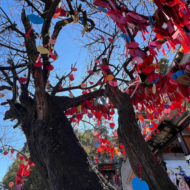 เมืองมรดกโลกลี่เจียง หนึ่งในเมืองที่ควรต้องเยือน