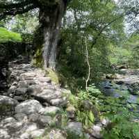 Travelling without a car?! Don’t make it in excuse for not visiting the Lake District! 