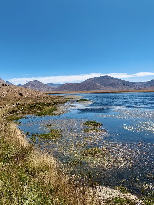 😍🥺 Trekking Around the jaw-dropping Yashikul Lake 