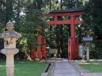 Hagurosan Shrine - Five Story Pagoda