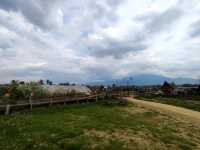 วัดสวยล้านนา ทัศนียภาพทุ่งนา ดอยภูคา อันงดงาม