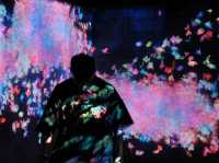 沉浸式藝術的極致體驗—東京麻布台之丘 teamLab Borderless 參訪心得