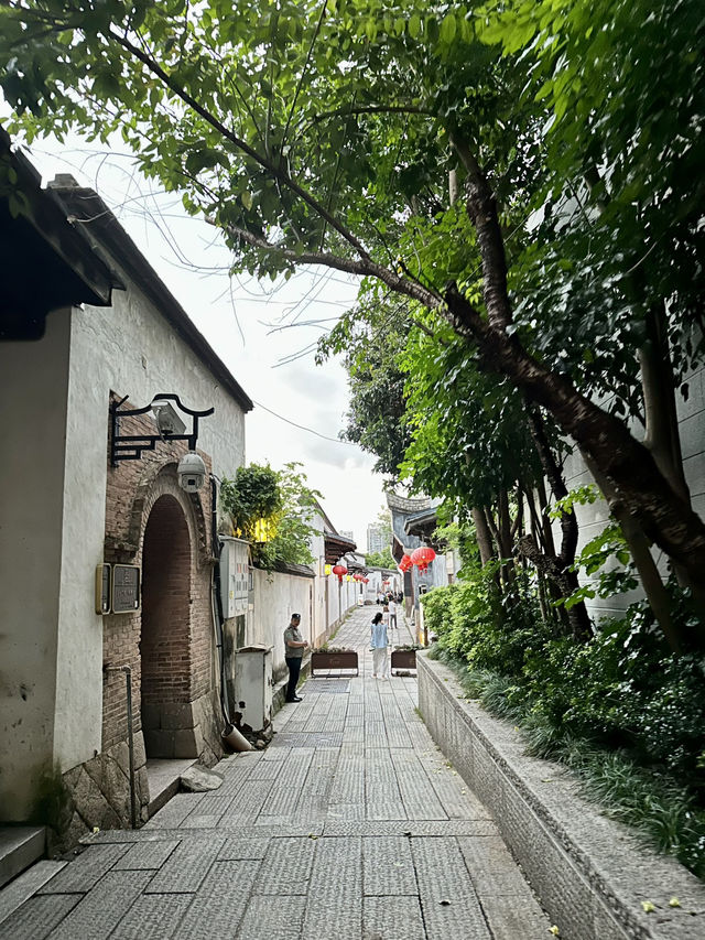 A Walk Through Time at Sanfang Qixiang, FZ