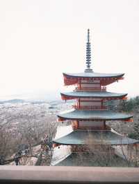 富士山兩日一夜深度遊：絕景與溫泉的完美邂逅