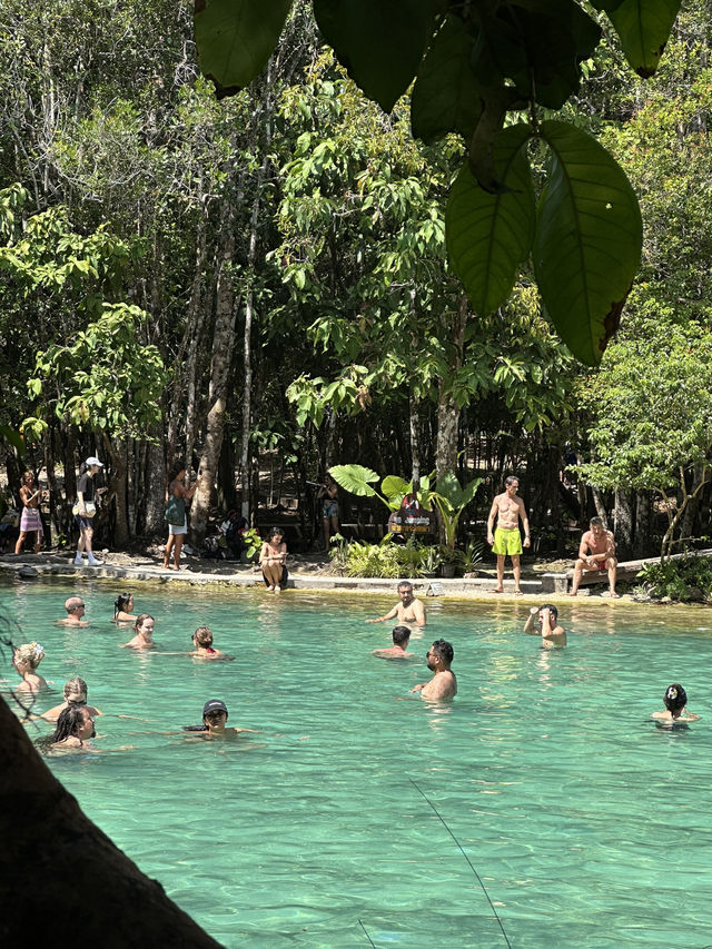 EMERALD POOL - Krabi, Thailand