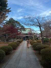 Gotokuji Temple 😸 วัดแมวกวักนำโชคในโตเกียว