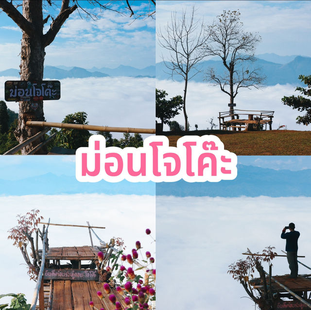 ม่อนโจโค๊ะ