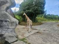 Chessington World of Adventures